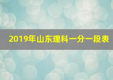 2019年山东理科一分一段表