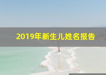 2019年新生儿姓名报告