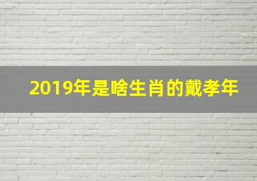 2019年是啥生肖的戴孝年