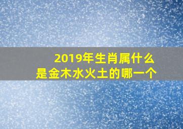 2019年生肖属什么是金木水火土的哪一个