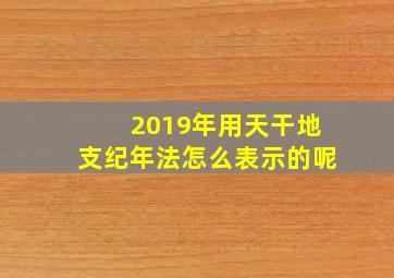 2019年用天干地支纪年法怎么表示的呢