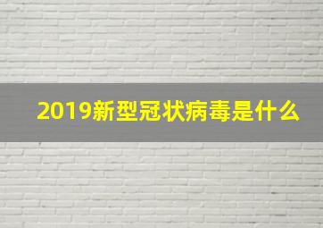 2019新型冠状病毒是什么