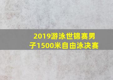 2019游泳世锦赛男子1500米自由泳决赛