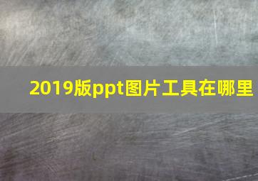 2019版ppt图片工具在哪里