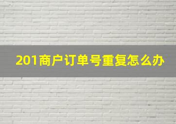 201商户订单号重复怎么办