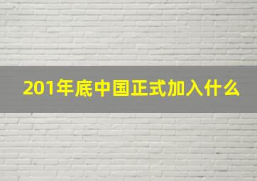 201年底中国正式加入什么