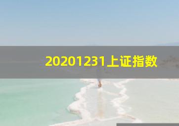 20201231上证指数