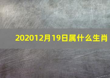 202012月19日属什么生肖