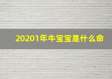 20201年牛宝宝是什么命