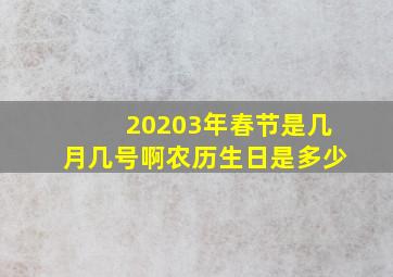 20203年春节是几月几号啊农历生日是多少