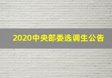 2020中央部委选调生公告