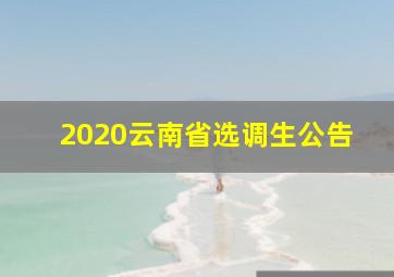 2020云南省选调生公告