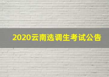 2020云南选调生考试公告