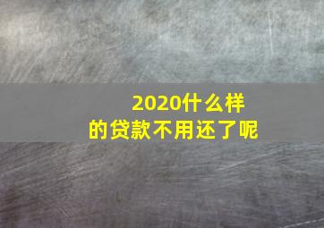 2020什么样的贷款不用还了呢