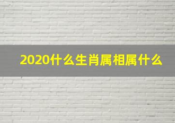 2020什么生肖属相属什么