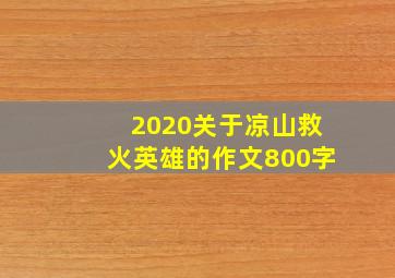 2020关于凉山救火英雄的作文800字