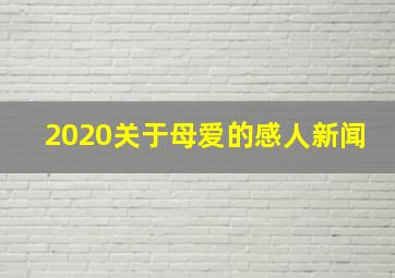 2020关于母爱的感人新闻