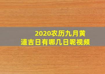 2020农历九月黄道吉日有哪几日呢视频