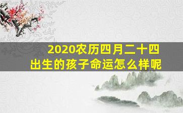 2020农历四月二十四出生的孩子命运怎么样呢