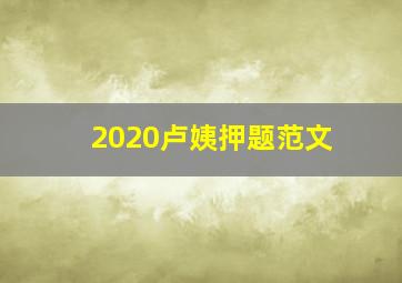 2020卢姨押题范文