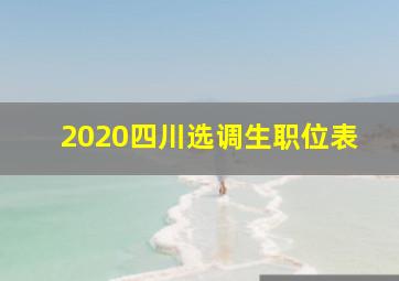 2020四川选调生职位表