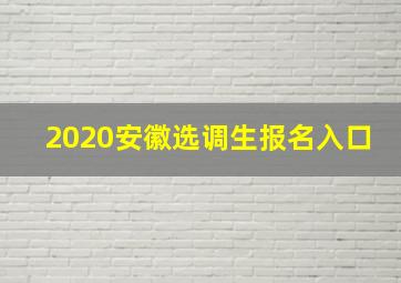 2020安徽选调生报名入口