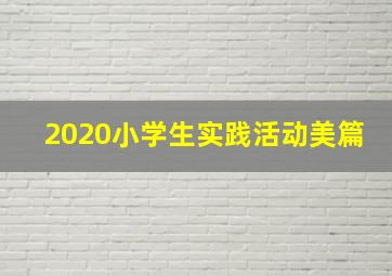 2020小学生实践活动美篇