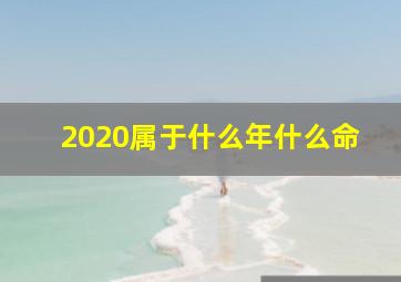 2020属于什么年什么命