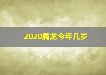 2020属龙今年几岁