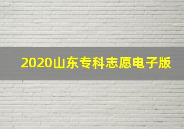 2020山东专科志愿电子版