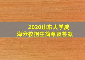 2020山东大学威海分校招生简章及答案