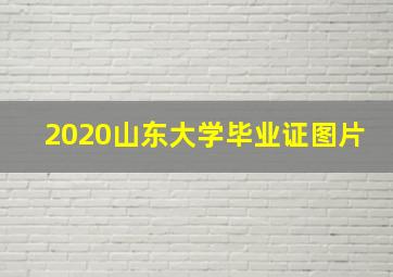 2020山东大学毕业证图片