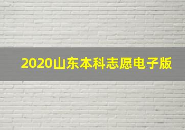 2020山东本科志愿电子版