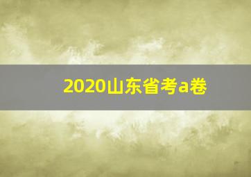 2020山东省考a卷