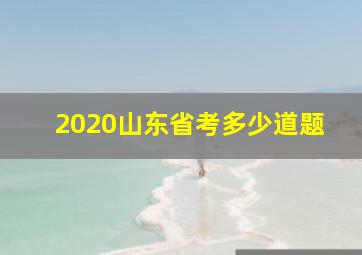 2020山东省考多少道题