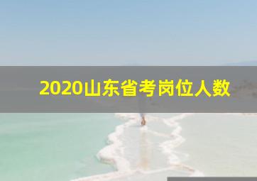 2020山东省考岗位人数