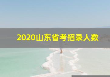 2020山东省考招录人数