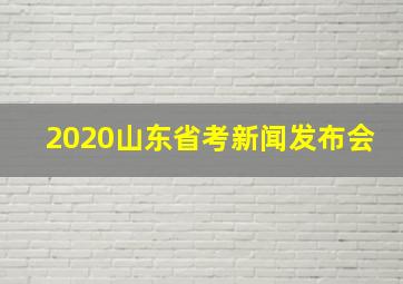 2020山东省考新闻发布会