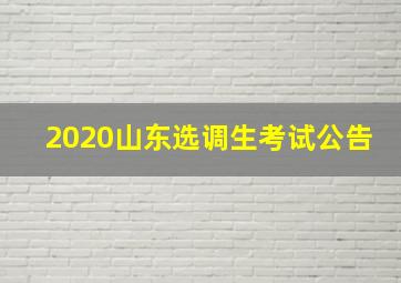 2020山东选调生考试公告