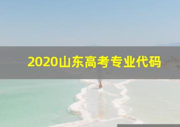 2020山东高考专业代码