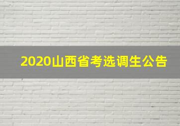 2020山西省考选调生公告