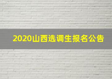 2020山西选调生报名公告