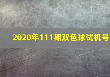 2020年111期双色球试机号