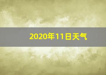 2020年11日天气