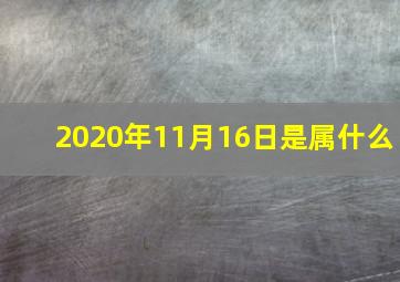 2020年11月16日是属什么