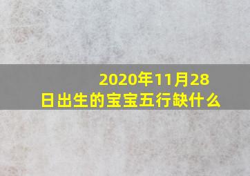 2020年11月28日出生的宝宝五行缺什么