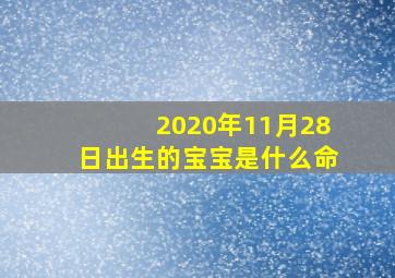 2020年11月28日出生的宝宝是什么命