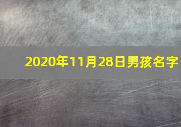 2020年11月28日男孩名字