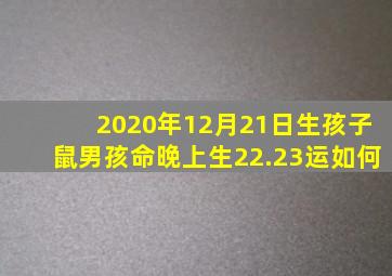 2020年12月21日生孩子鼠男孩命晚上生22.23运如何