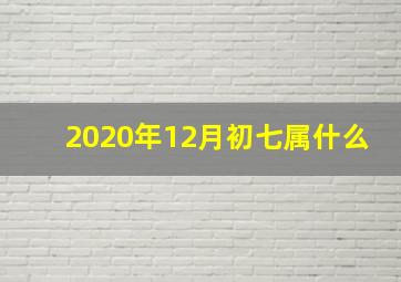 2020年12月初七属什么